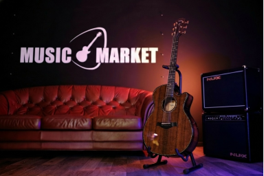 Электроакустическая гитара Taylor Builde`s Edition 914ce